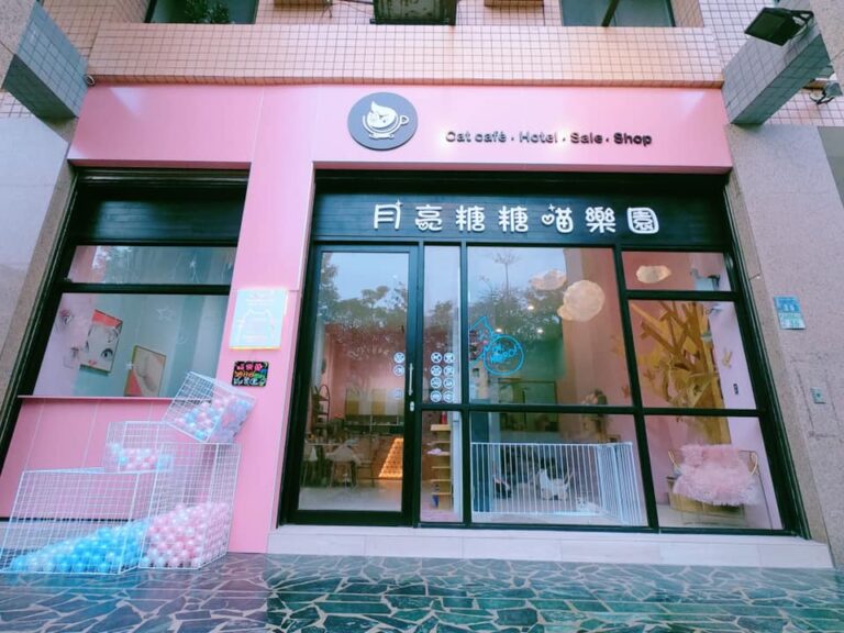 嚴選合法寵物店-月亮糖糖喵樂園