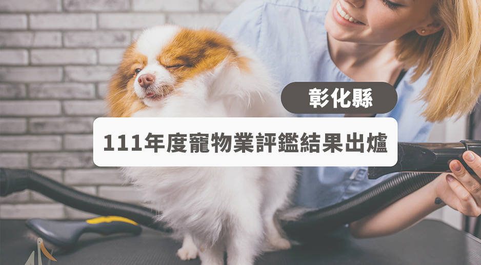 Read more about the article 111年度彰化縣特定寵物業者評鑑結果出爐