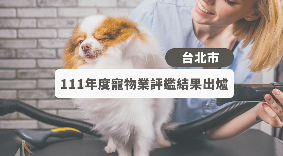 Read more about the article 111年度台北市特定寵物業者評鑑結果出爐