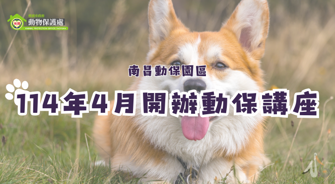 Read more about the article 桃園市政府動物保護處/ 114年4月份動保教育講座資訊